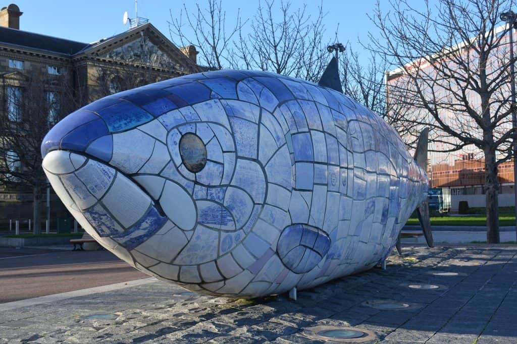 fish, work of art, belfast